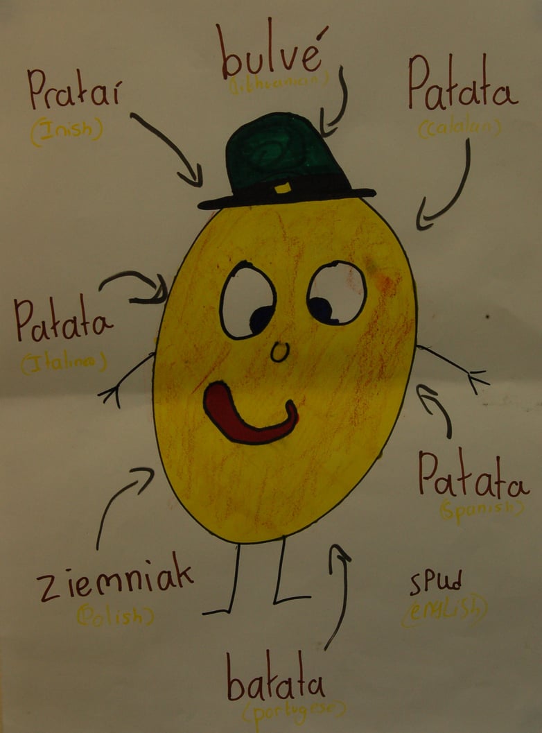 drawing of many ways to say potato