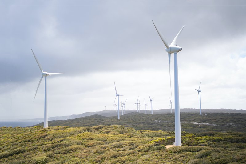 Green Entrepreneurship: What Role Does Erasmus+ Play in Environmental Matters?